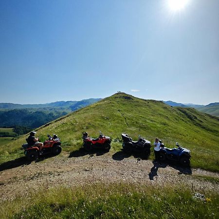 Affittacamere Mini Garden Mojkovac Esterno foto