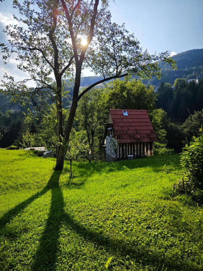 Affittacamere Mini Garden Mojkovac Esterno foto